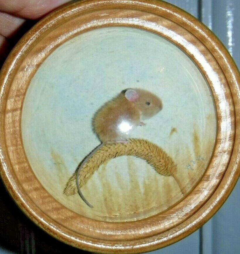Harvest Mouse (Version 5)